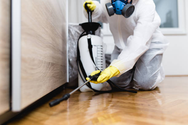Best Affordable Pest Control Services  in Towson, MD