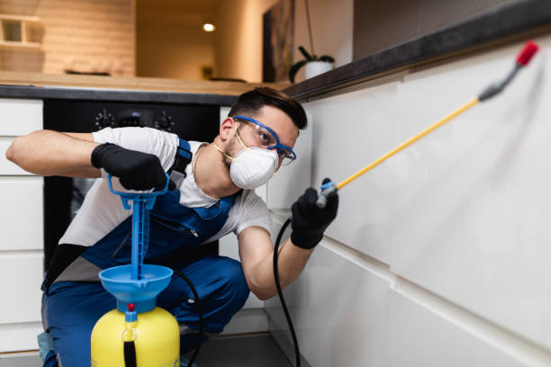 Best Pest Control Near Me  in Towson, MD