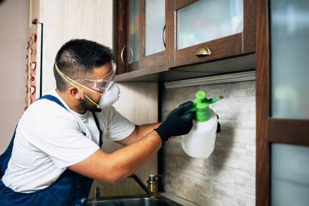Best Mosquito Control Services  in Towson, MD
