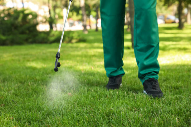 Best Pest Control Near Me  in Towson, MD