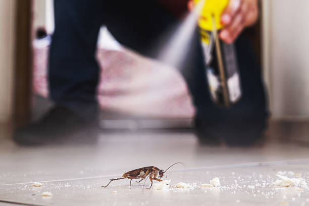 Pest Control for Restaurants in Towson, MD