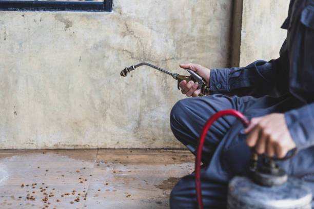 Best Termite Control Services  in Towson, MD